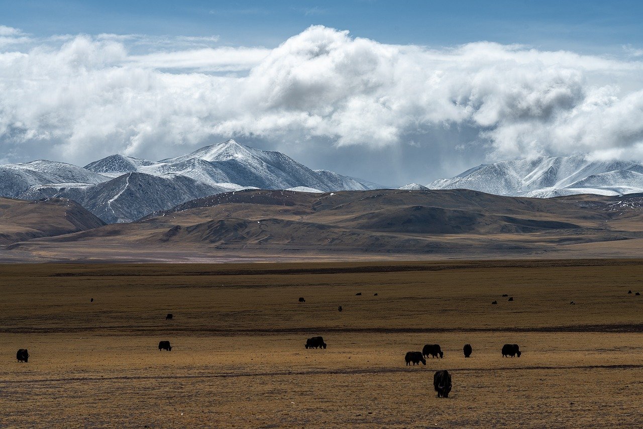 grassland, snow mountain, xinjiang-8066987.jpg