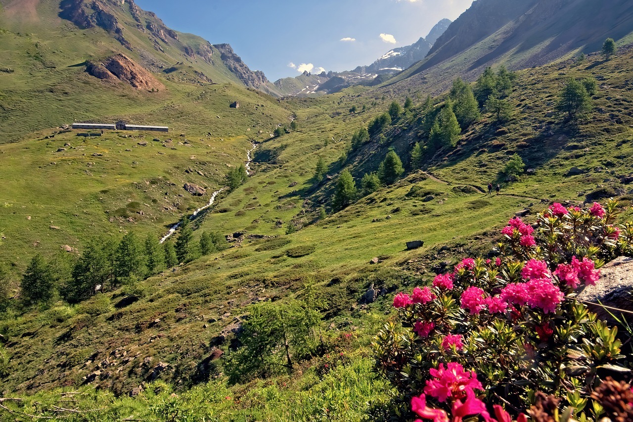 mountain, alps, high valley-8139762.jpg