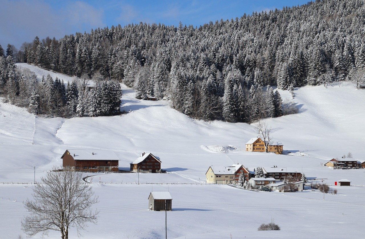 snowy, village, forest-8235817.jpg