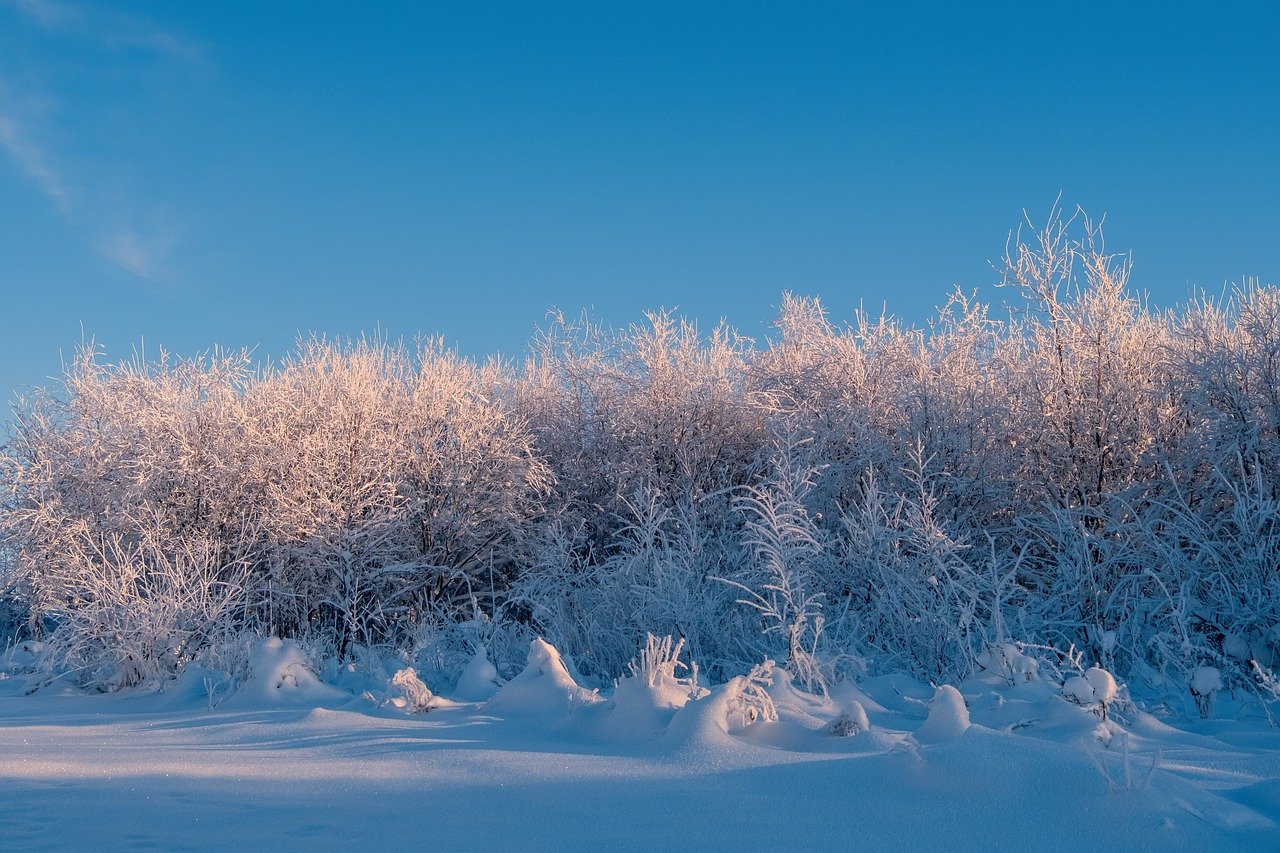 winter, landscape, snow-8373941.jpg