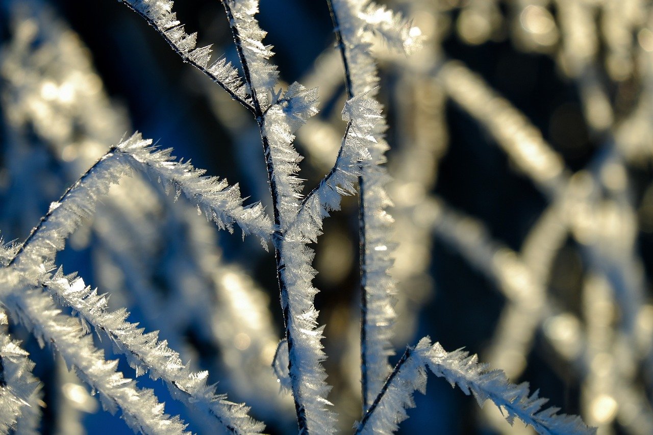 twig, crystals, snow-8419709.jpg