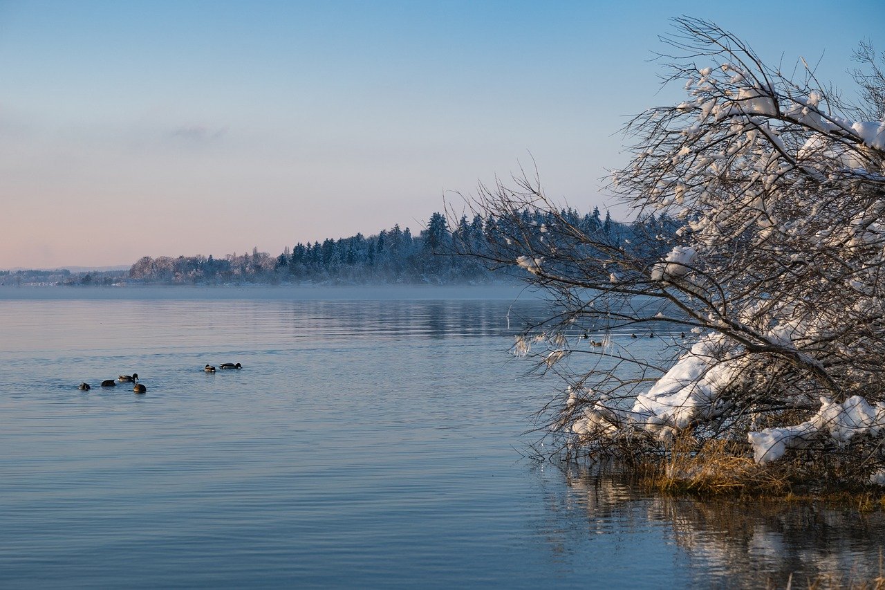 winter, lake, bank-8433264.jpg