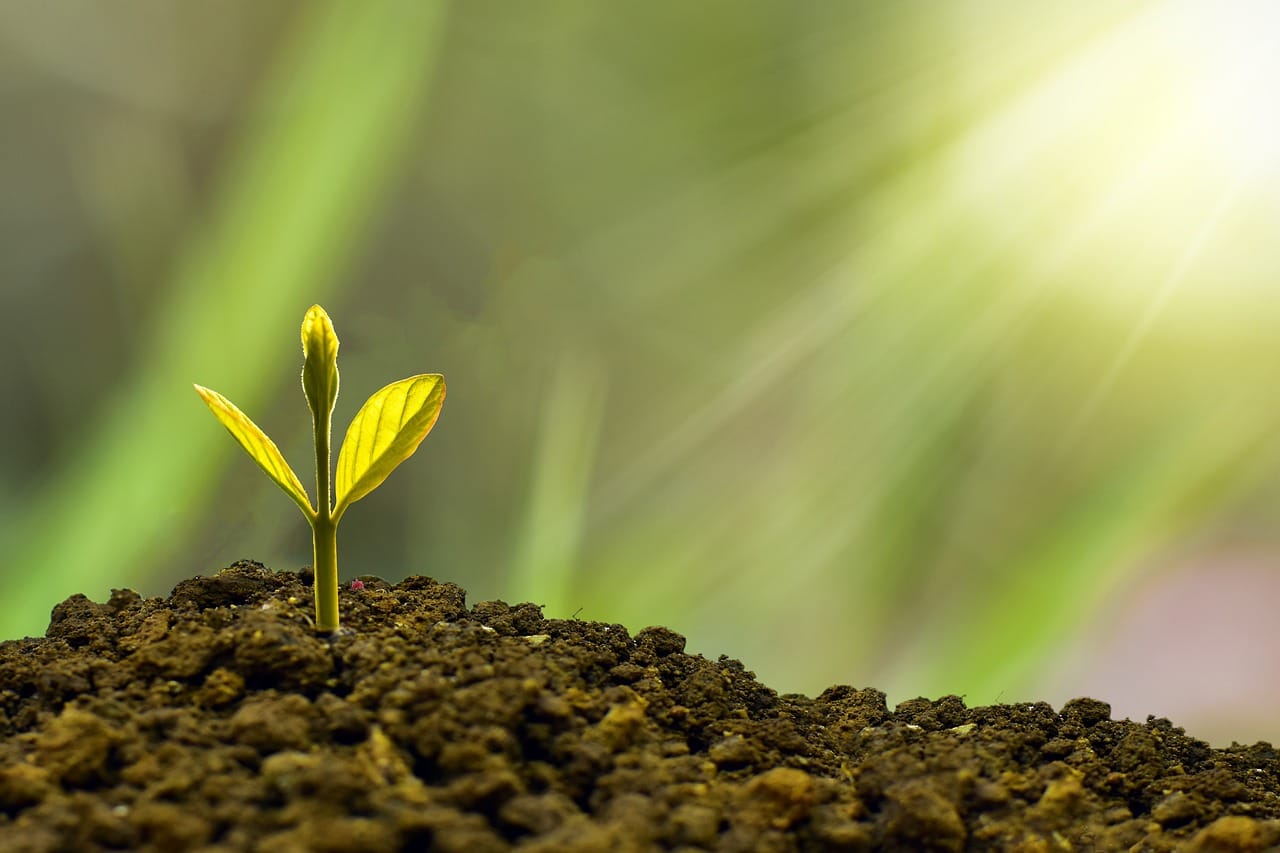 Market Recap and Economic Outlook: June 2, 2025 Financial Insights