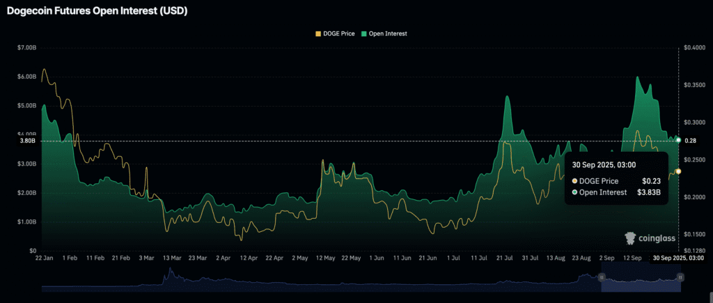 Daily Market Roundup