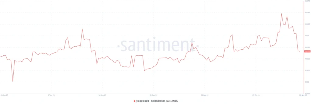 Daily Market Roundup