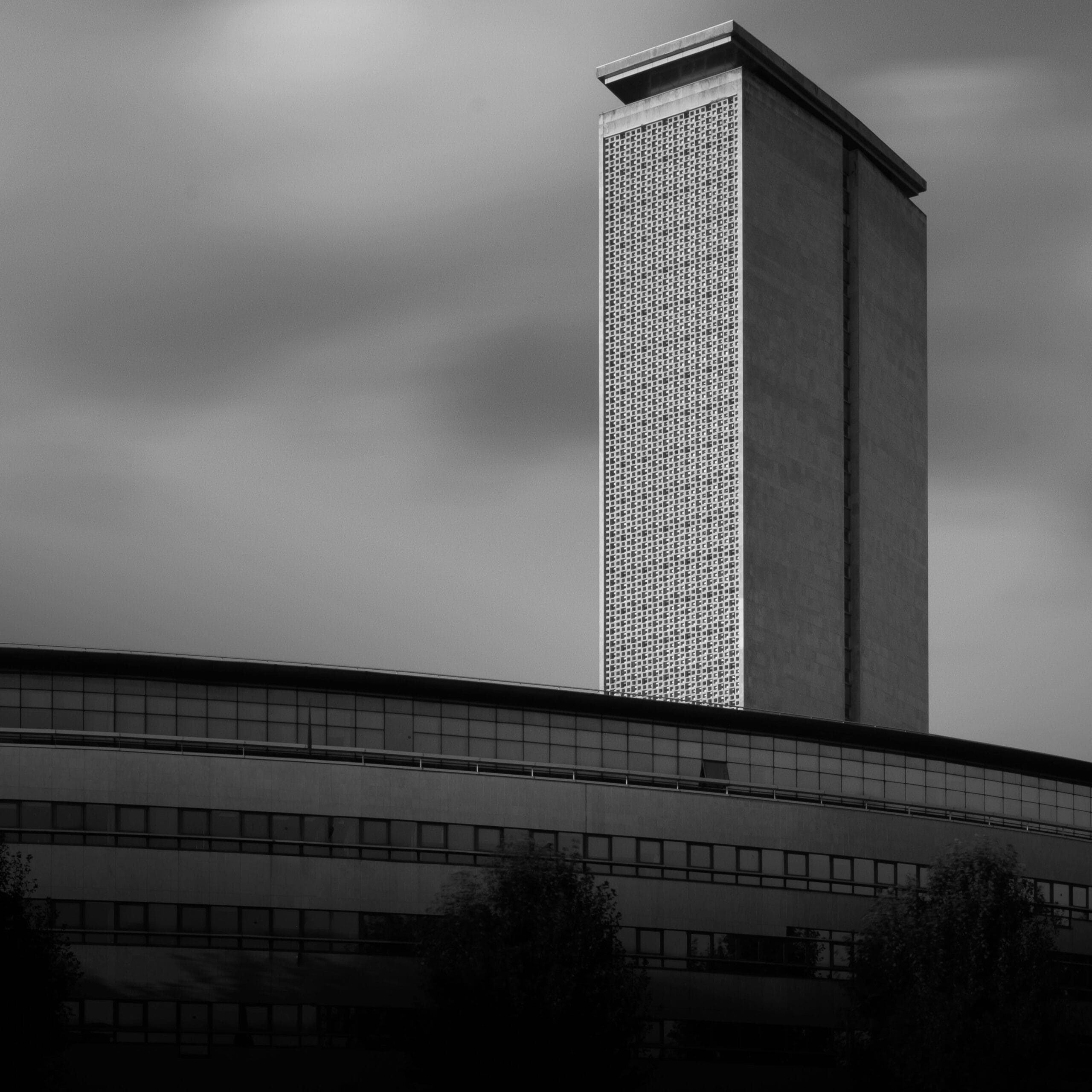 Daily Market Roundup