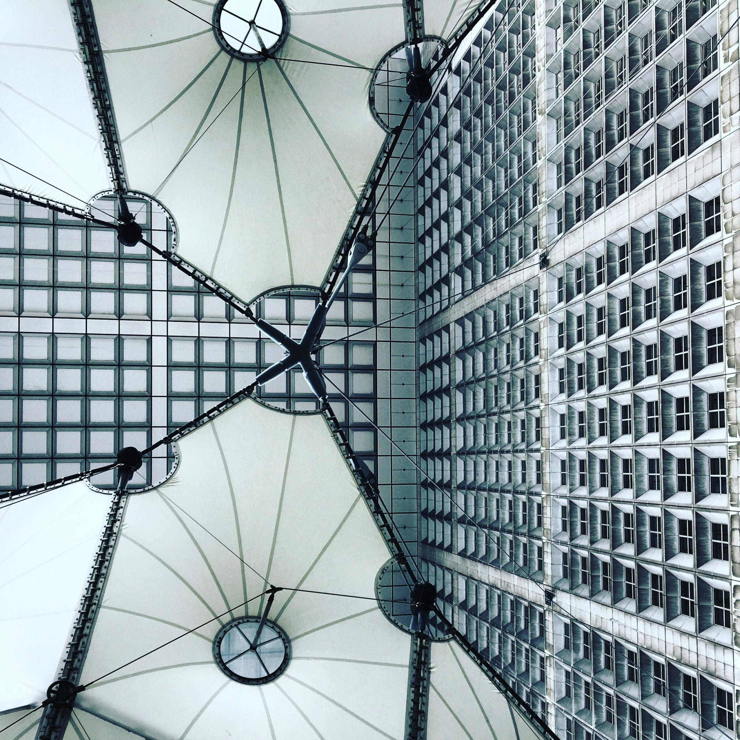 Daily Market Roundup