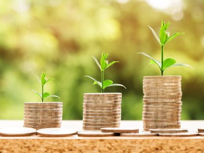 Daily Market Roundup
